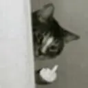 স্টিকার