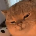 স্টিকার