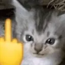 স্টিকার