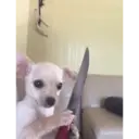 สติกเกอร์