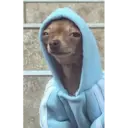 สติกเกอร์