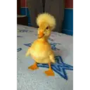 สติกเกอร์