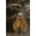 สติกเกอร์