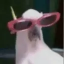 สติกเกอร์