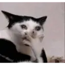 สติกเกอร์