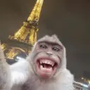 ஸ்டிக்கர்