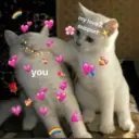 স্টিকার