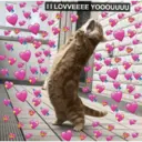 স্টিকার