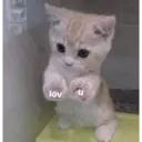 স্টিকার