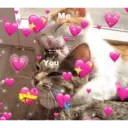 স্টিকার