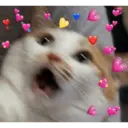 স্টিকার