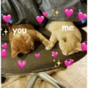 স্টিকার