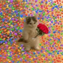 স্টিকার