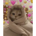 স্টিকার