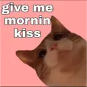 স্টিকার