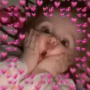 Կպչուն պիտակ