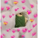 ស្ទីកเกอร์