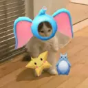 ស្ទីកเกอร์