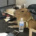 ස්ටිකර්