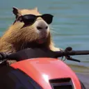 ස්ටිකර්