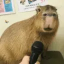 ස්ටිකර්