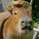 ස්ටිකර්