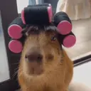 ස්ටිකර්