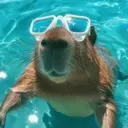 ස්ටිකර්