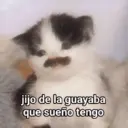 Կպչուն պիտակ