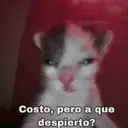 Կպչուն պիտակ