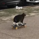 ஸ்டிக்கர்