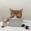 ஸ்டிக்கர்