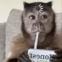 స్టికర్