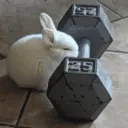 Կպչուն պիտակ