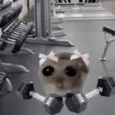 Կպչուն պիտակ