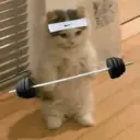 Կպչուն պիտակ