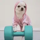 Կպչուն պիտակ