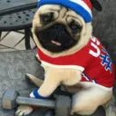 Կպչուն պիտակ