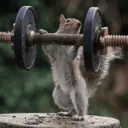 Կպչուն պիտակ