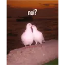 ஸ்டிக்கர்