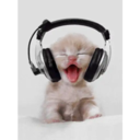 স্টিকার