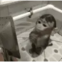 สติกเกอร์