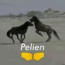 ස්ටිකර්