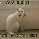 Çıkartma