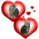 ស្ទីកเกอร์