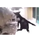 ස්ටිකර්