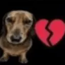 স্টিকার