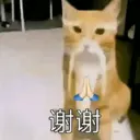 স্টিকার