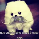 স্টিকার