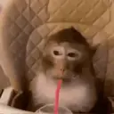 స్టికర్